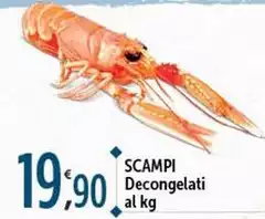 Scampi Decongelati Scampi Decongelati