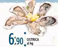 Ostrica Ostrica