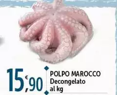 Polpo Marocco Decongelato Polpo Marocco Decongelato