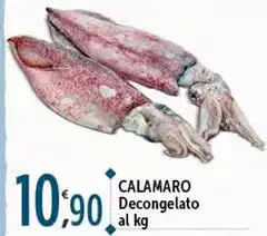 Calamaro Decongelato Calamaro Decongelato