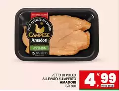 Amadori - Petto Di Pollo Allevato All'aperto Amadori - Petto Di Pollo Allevato All'aperto