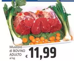 Muscolo Di Bovino Adulto