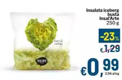 Iceberg - Insalata Busta Iceberg - Insalata Busta