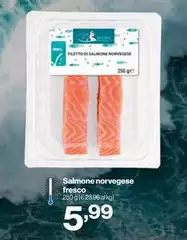 Salmone Norvegese Fresco Salmone Norvegese Fresco