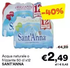 Sant'anna - Acqua Naturale 