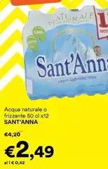 Sant'anna - Acqua Naturale O Frizzante Sant'anna - Acqua Naturale O Frizzante
