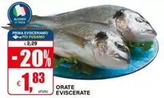 Orate Eviscerate Orate Eviscerate