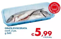 Orata Eviscerata Orata Eviscerata