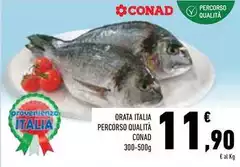 Conad - Orata Italia Percorso Qualità Conad - Orata Italia Percorso Qualità