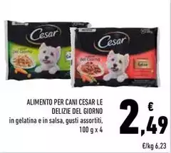 Cesar - Alimento Per Cani Cesar - Alimento Per Cani