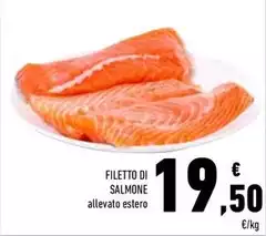 Filetto Di Salmone Filetto Di Salmone