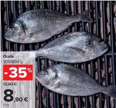 Orata Orata