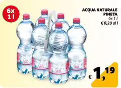 Pineta - Acqua Naturale Pineta - Acqua Naturale