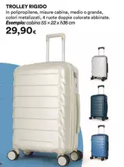 Trolley Rigido