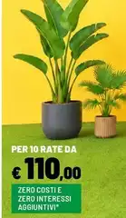 Zero Costi E Zero Interessi Aggiuntivi