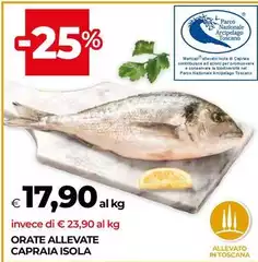 Orate Allevate Capraia Isola Orate Allevate Capraia Isola