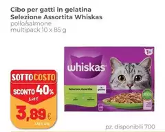 Whiskas - Cibo Per Gatti In Gelatina Selezione Assortita Whiskas - Cibo Per Gatti In Gelatina Selezione Assortita