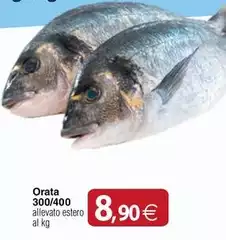 Orata 300/ 400 Orata 300/ 400