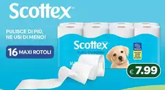 Scottex - Pulisce Di Più, Ne Usi Di Meno! Scottex - Pulisce Di Più, Ne Usi Di Meno!