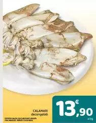 Solo - Calamari Solo - Calamari