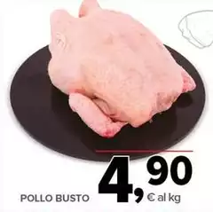 Pollo Busto Pollo Busto