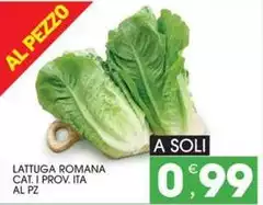 Lattuga Romana