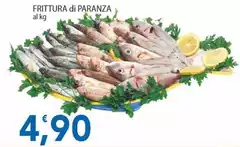 Frittura Di Paranza Frittura Di Paranza