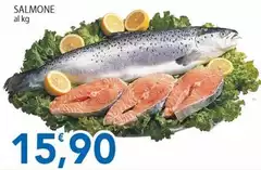 Salmone Salmone