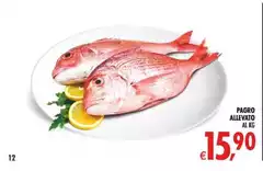 Pagro Allevato Pagro Allevato