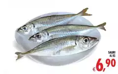 Sauri Sauri