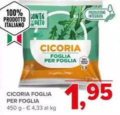 Cicoria Foglia Per Foglia Cicoria Foglia Per Foglia
