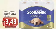 Scottonelle - Carta Igienica Scottonelle - Carta Igienica