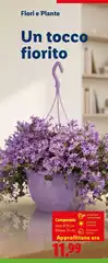 Un Tocco Fiorito Un Tocco Fiorito