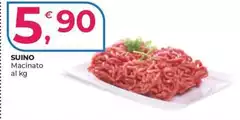 Suino Suino