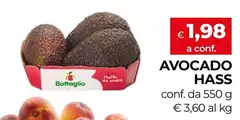 Battaglio - Avocado Hass
