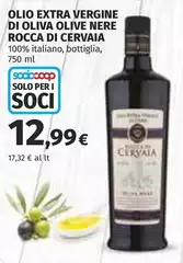Oliva - Olio Extra Vergine Di  Olive Nere