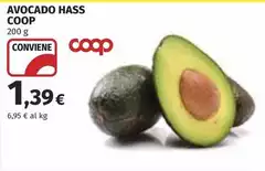 Coop - Avocado Hass