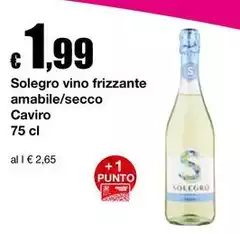 Solegro - Vino Frizzante Amabile/Secco Solegro - Vino Frizzante Amabile/Secco
