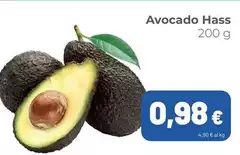 Avocado Hass