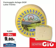 Asiago - Formaggio  DOP Latte Trento