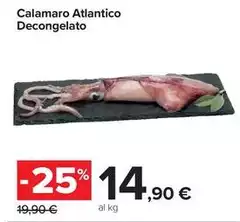 Calamaro Atlantico Decongelato Calamaro Atlantico Decongelato