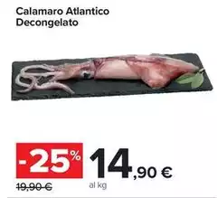 Calamaro Atlantico Decongelato Calamaro Atlantico Decongelato