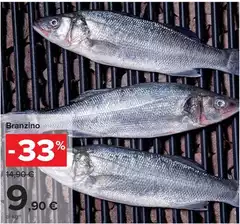 Branzino Branzino