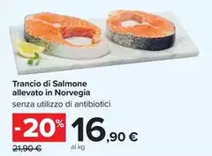 Trancio Di Salmone Allevato In Norvegia Trancio Di Salmone Allevato In Norvegia