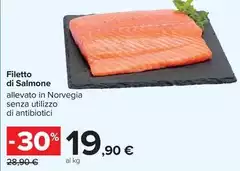 Filetto Di Salmone Filetto Di Salmone