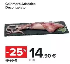 Calamaro Atlantico Decongelato Calamaro Atlantico Decongelato