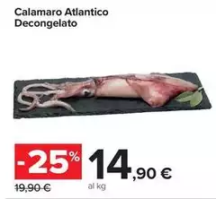 Calamaro Atlantico Decongelato Calamaro Atlantico Decongelato