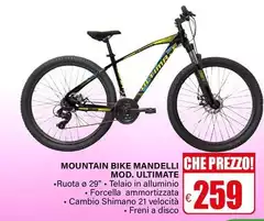 Mountain Bike Mandelli Mod. Ultimate