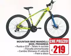 Mountain Bike Mandelli Mod. Progress
