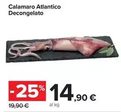 Calamaro Atlantico Decongelato Calamaro Atlantico Decongelato